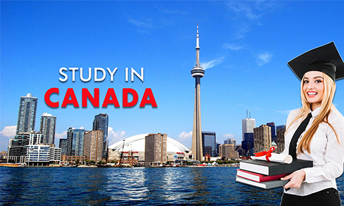 BSM Education