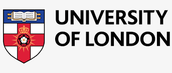 Partner Institute
